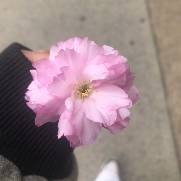 Meet your Posher 🔮 - Picture 2 of 4